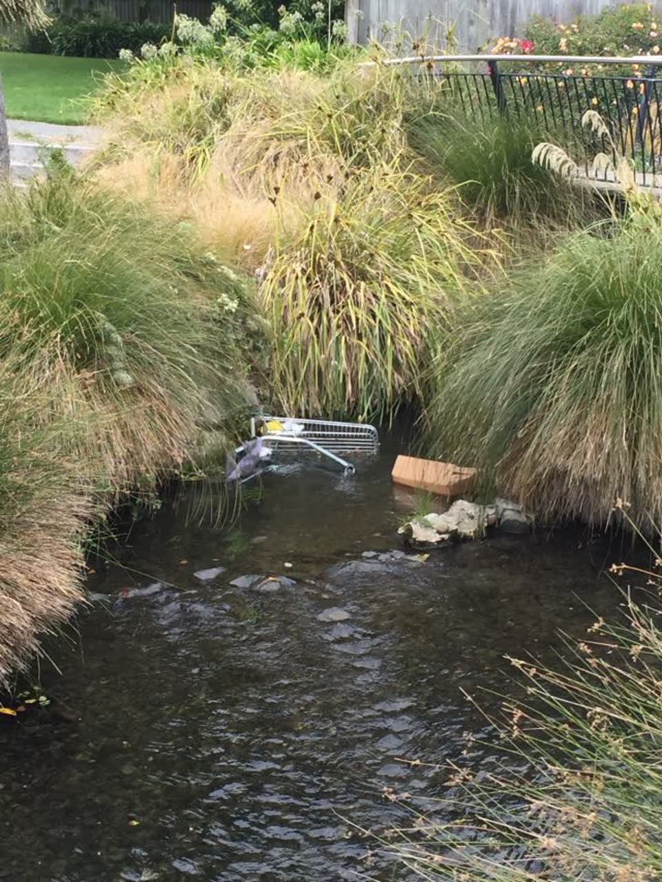 The photograph attached to this parks report