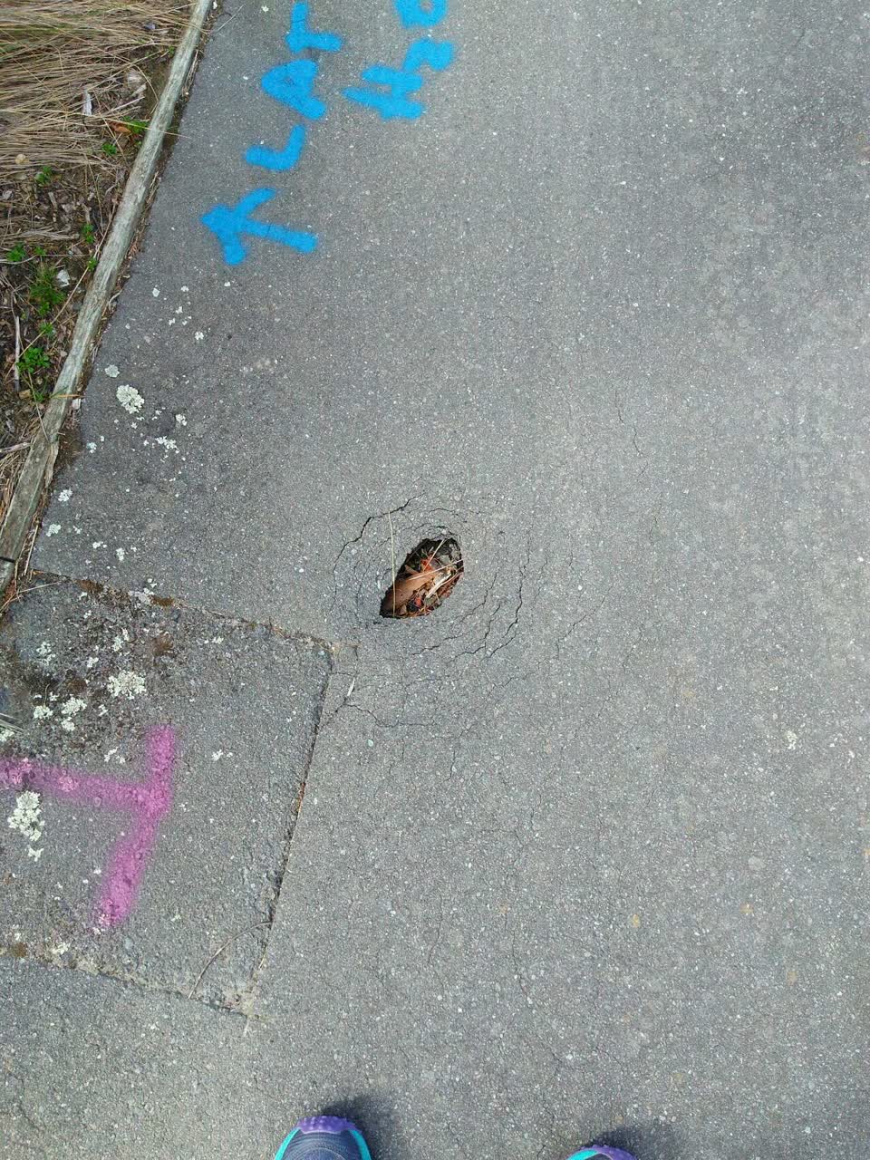 The photograph attached to this roading/streets report