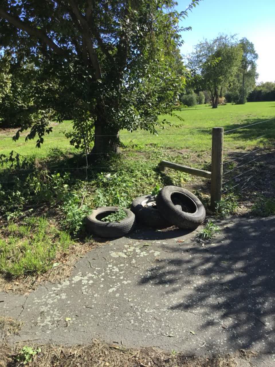 The photograph attached to this rubbish/recycling report