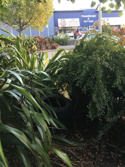 Rubbish/Recycling, a report photo