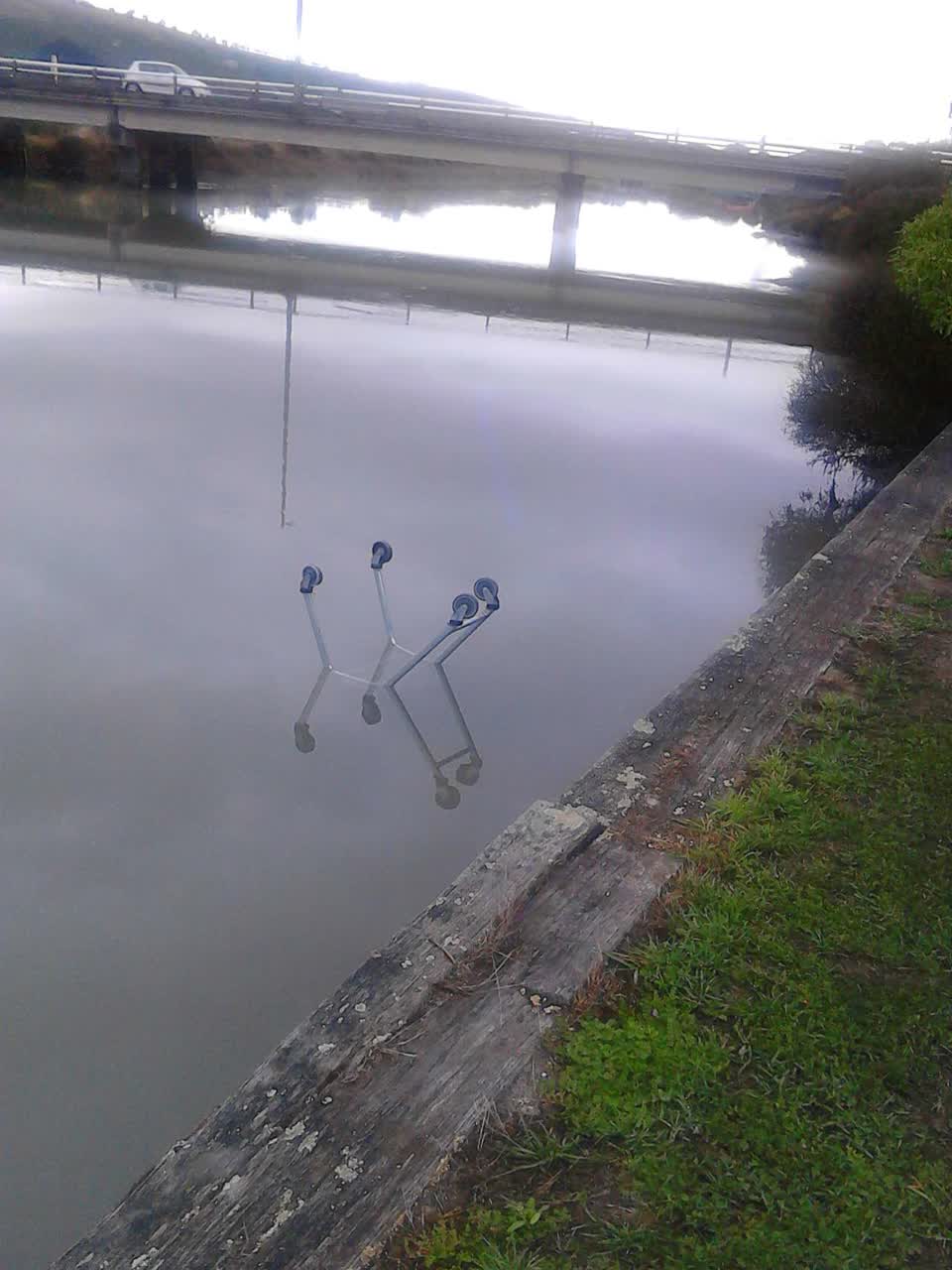 The photograph attached to this parks report