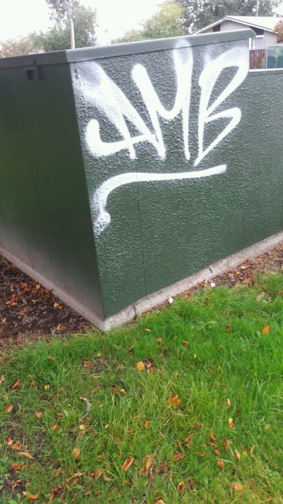 The photograph attached to this graffiti report