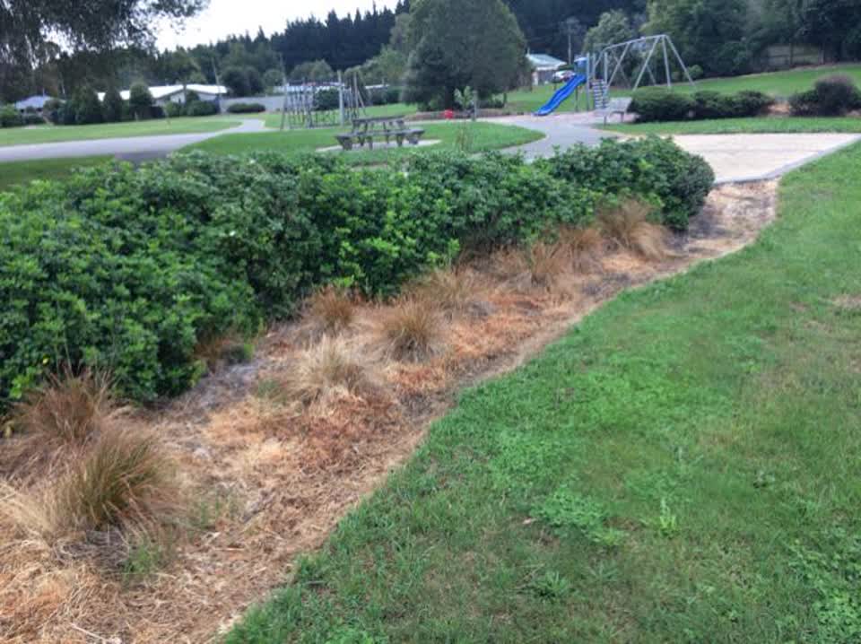 The photograph attached to this parks report