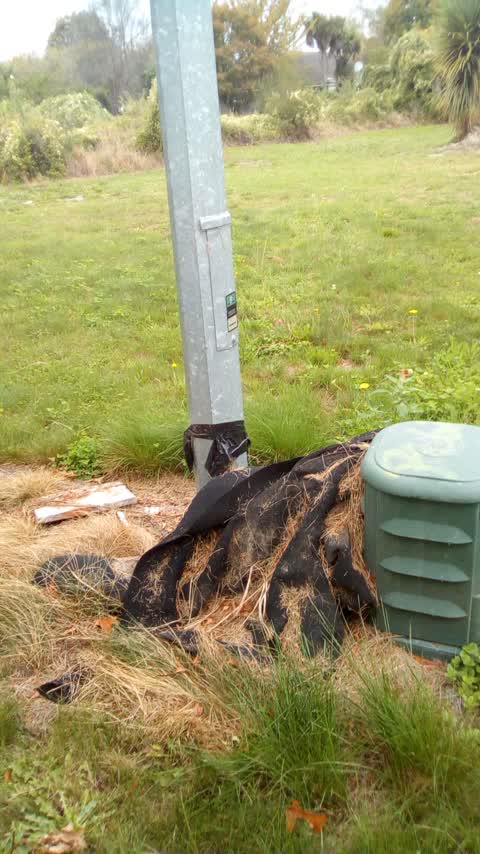 Rubbish/Recycling, a report photo