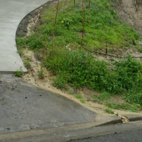 Wastewater/Stormwater, a report photo