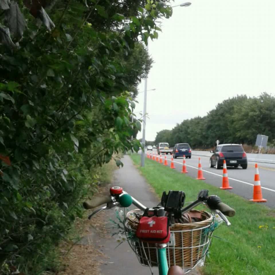 The photograph attached to this parks report