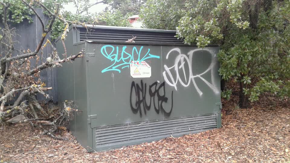 The photograph attached to this graffiti report