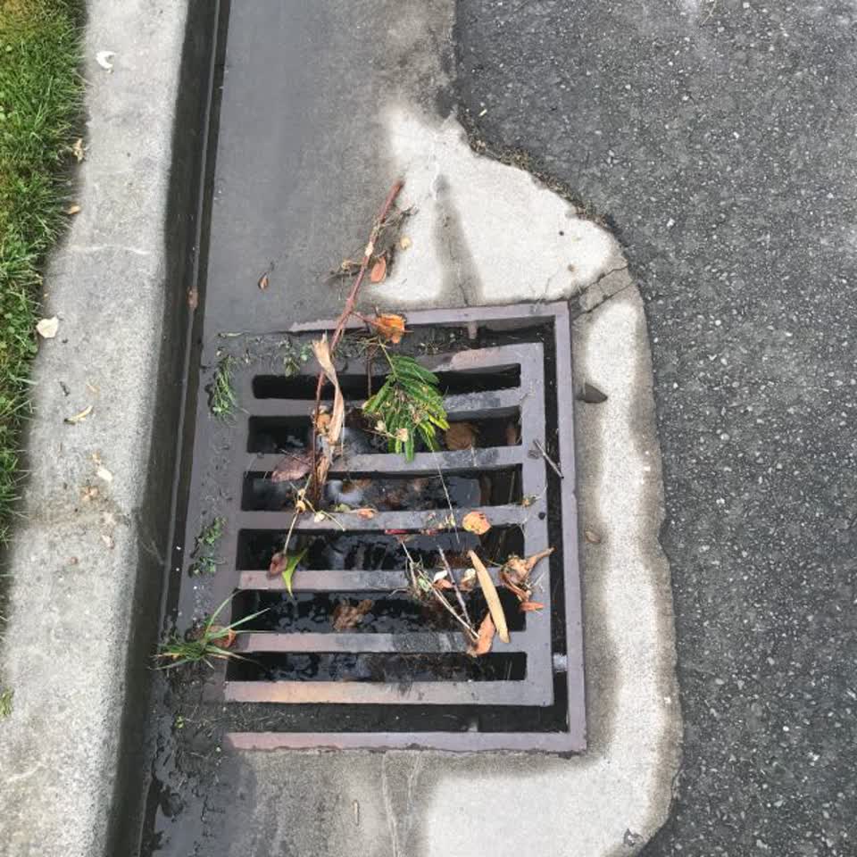 The photograph attached to this wastewater/stormwater report