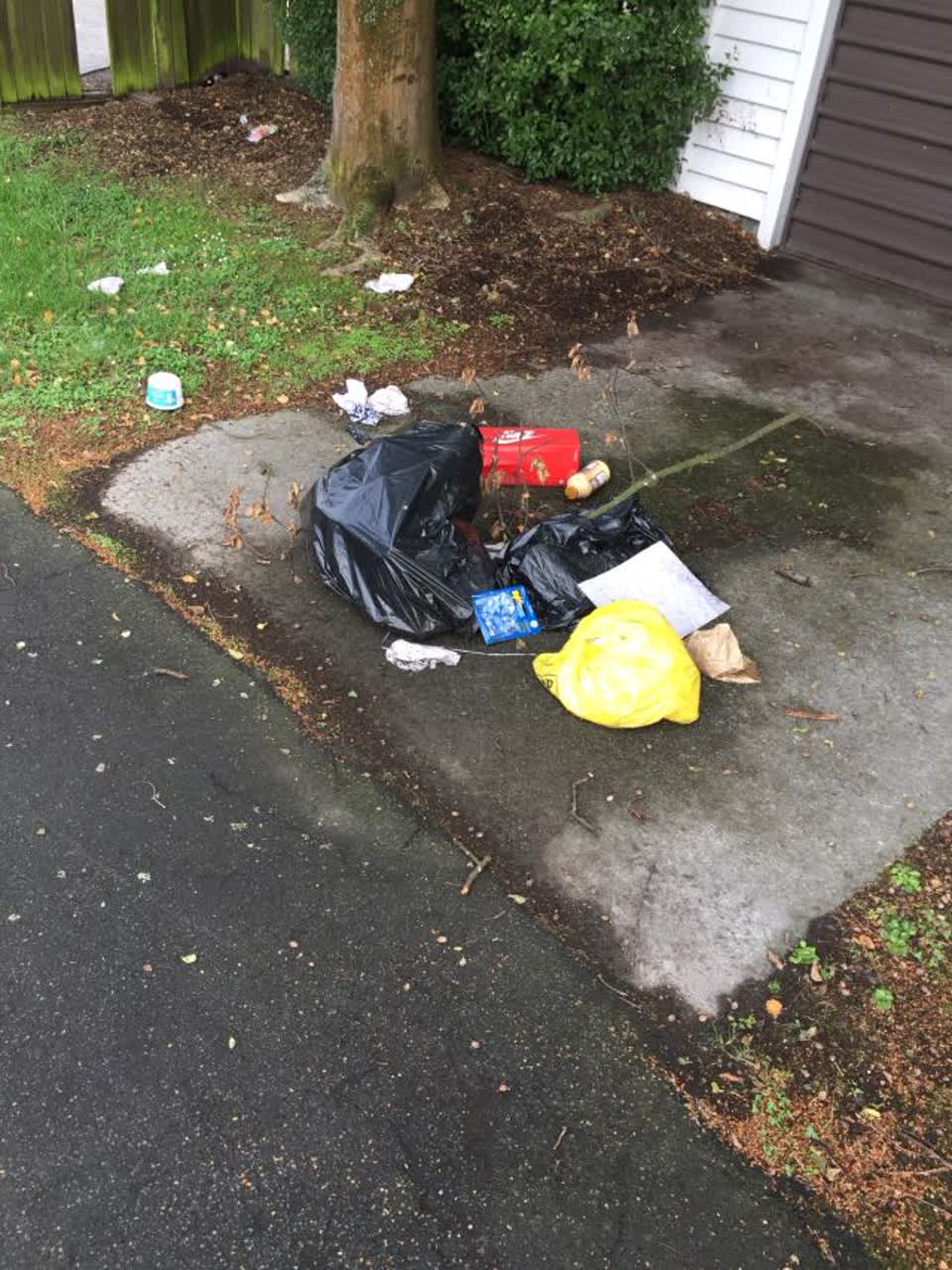 The photograph attached to this rubbish/recycling report