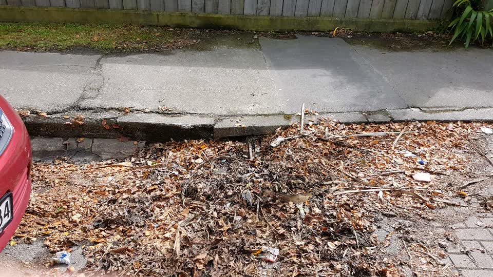 The photograph attached to this roading/streets report