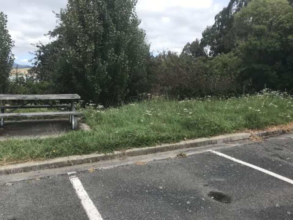 The photograph attached to this parks report