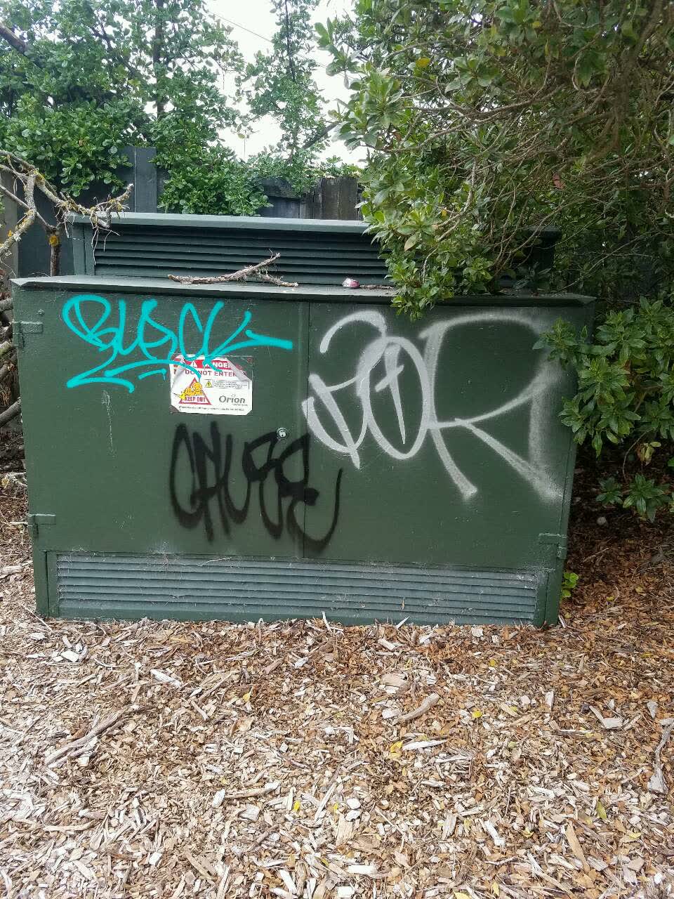 The photograph attached to this graffiti report