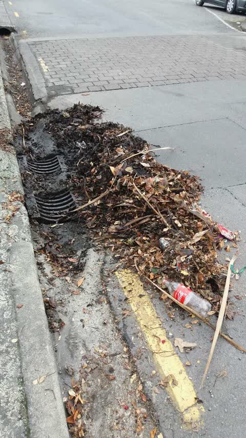 Wastewater/Stormwater, a report photo