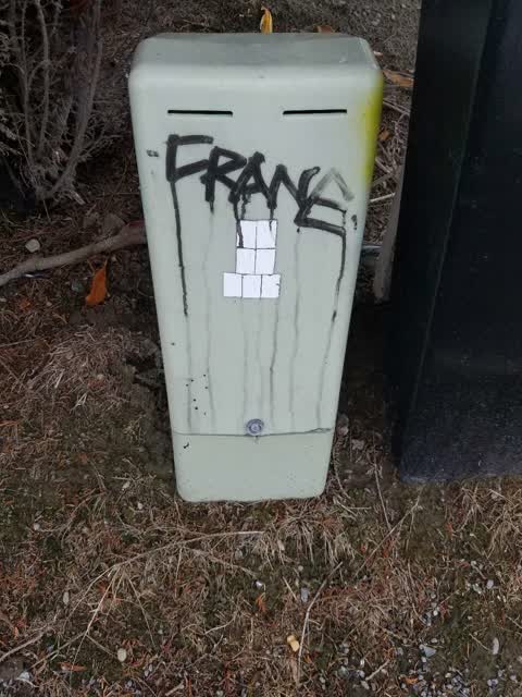 Graffiti, a report photo