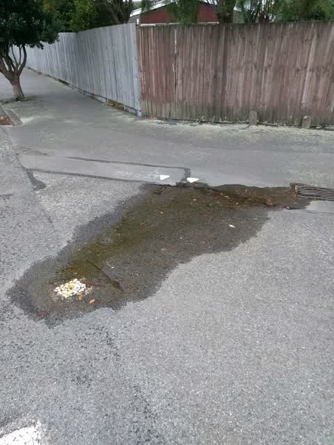 Water Supply, a report photo