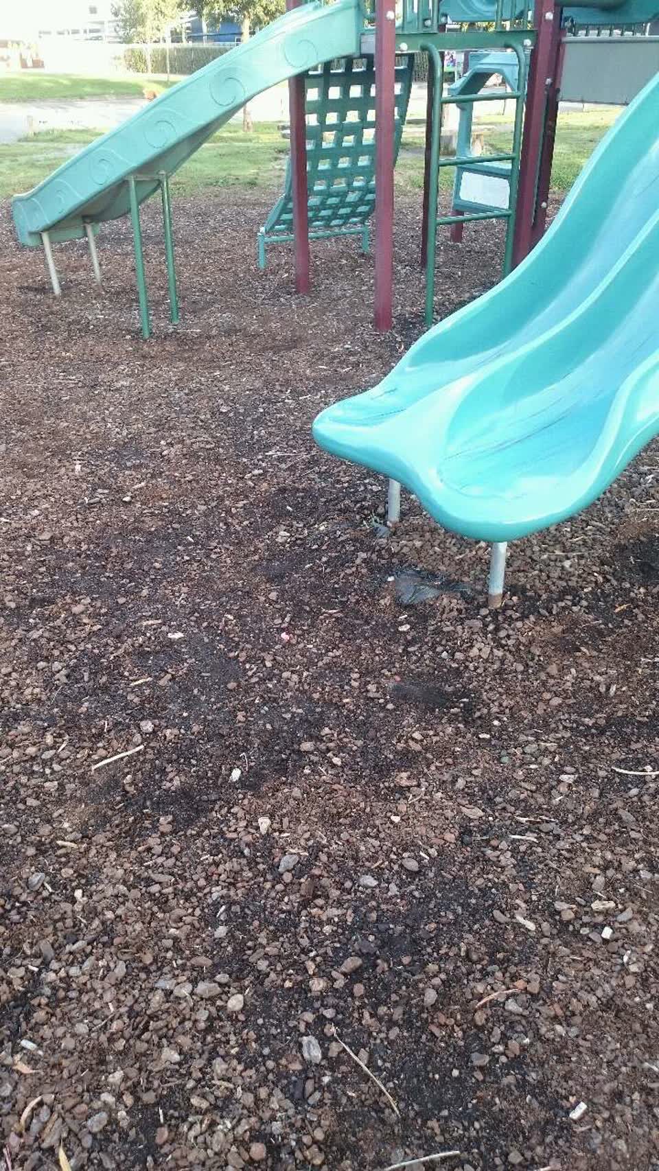 The photograph attached to this parks report
