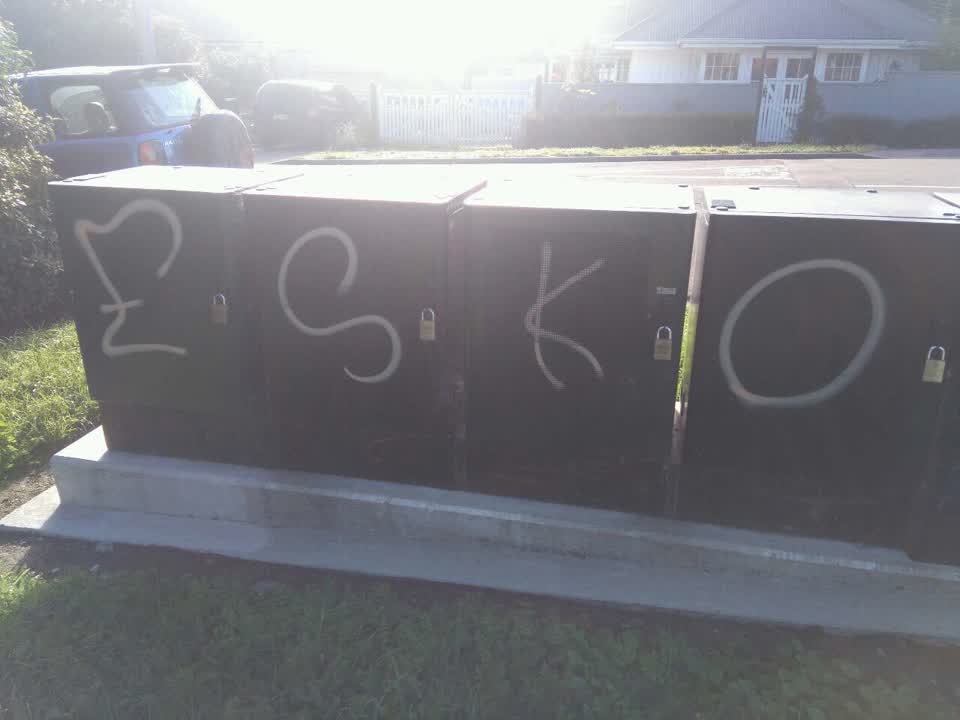 The photograph attached to this graffiti report
