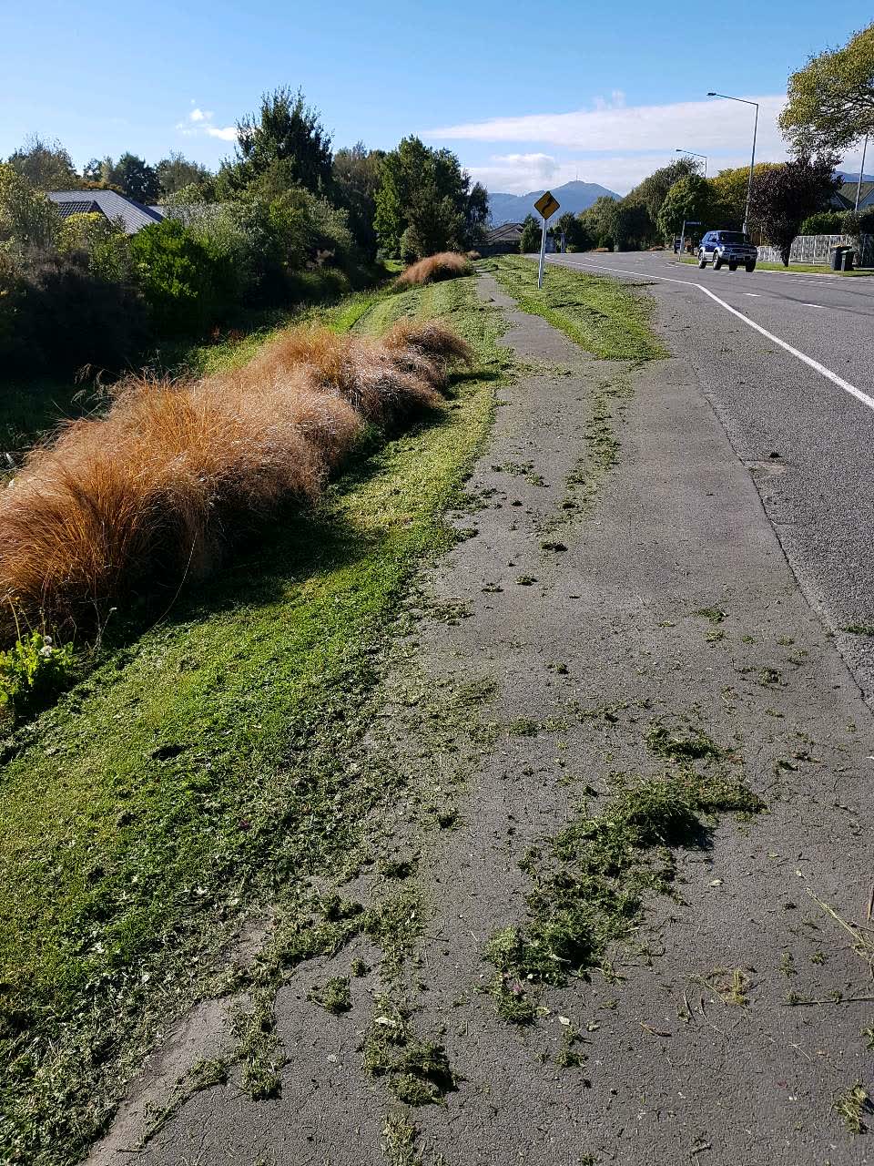 The photograph attached to this parks report
