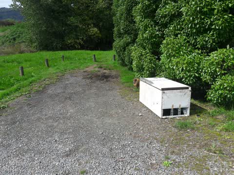 Parks — a report photo