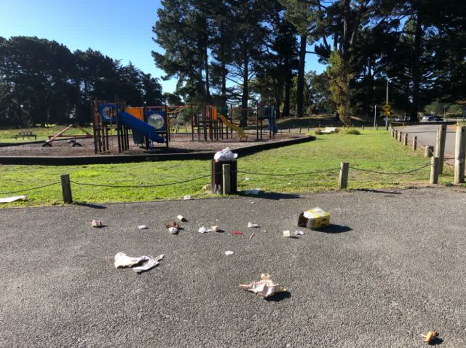 The photograph attached to this rubbish/recycling report