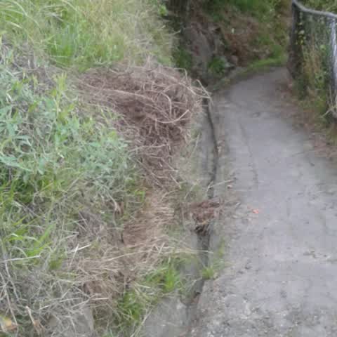 Roading/Streets, a report photo