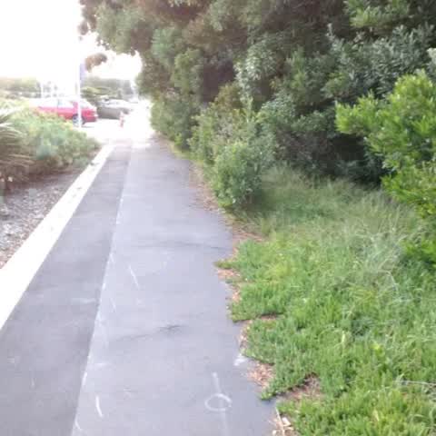 Roading/Streets, a report photo