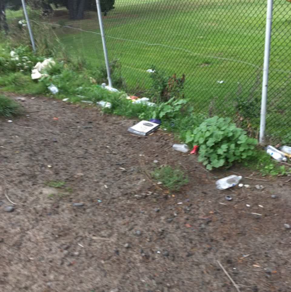 The photograph attached to this parks report