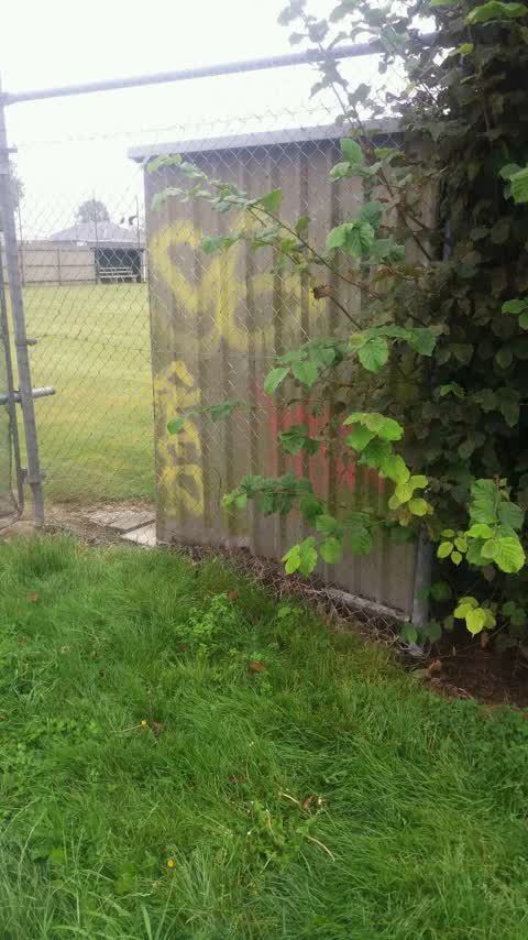 Graffiti, a report photo