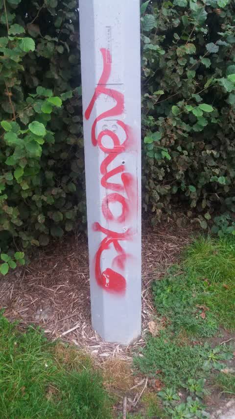 Graffiti, a report photo