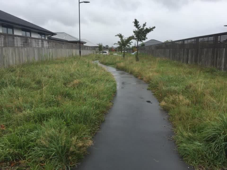 The photograph attached to this parks report