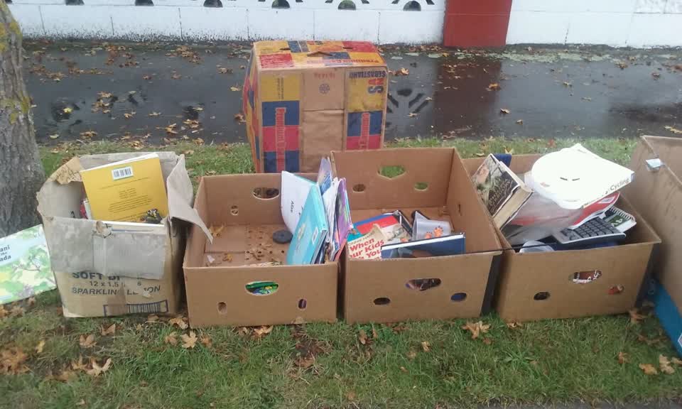 The photograph attached to this rubbish/recycling report