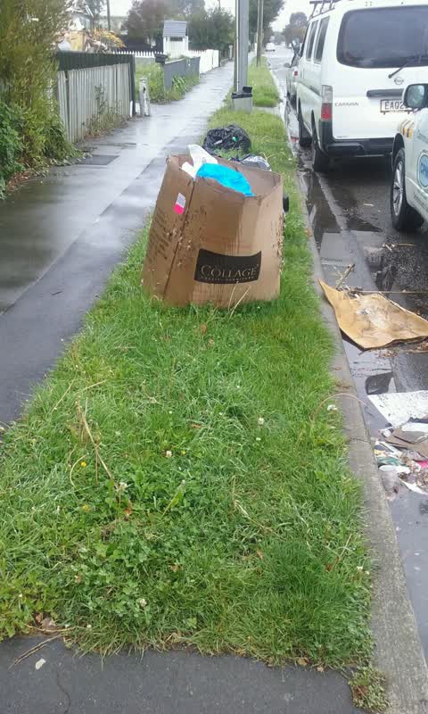 Rubbish/Recycling, a report photo