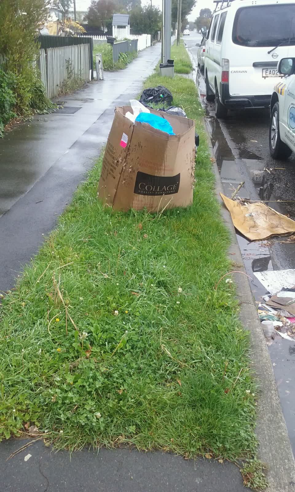 The photograph attached to this rubbish/recycling report