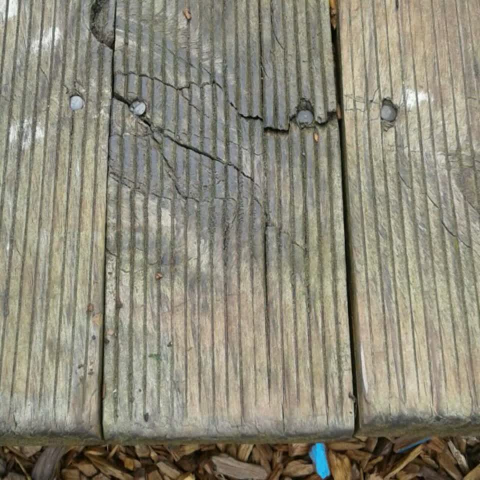 The photograph attached to this parks report