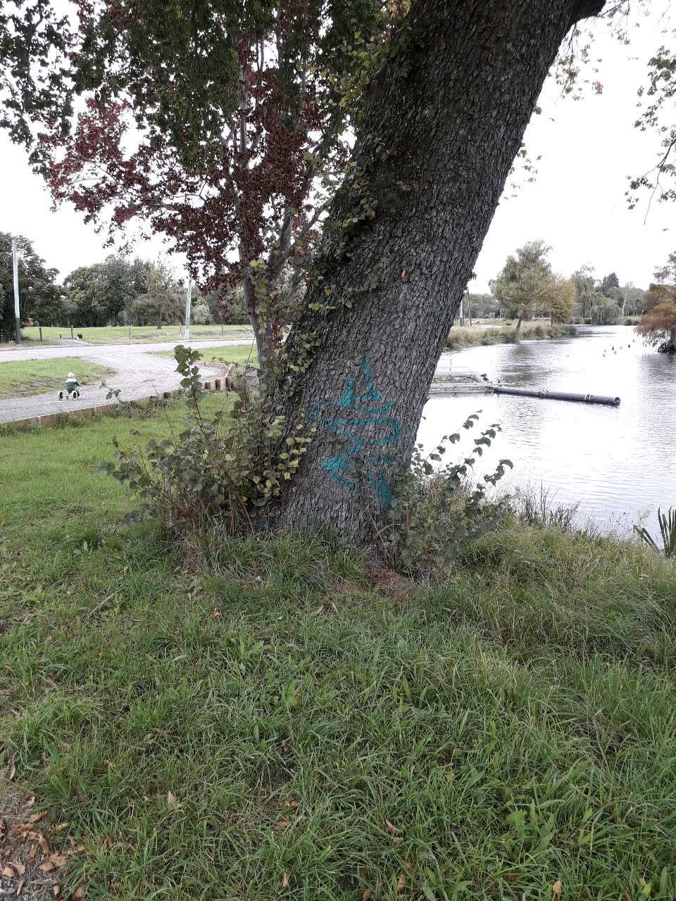 The photograph attached to this graffiti report