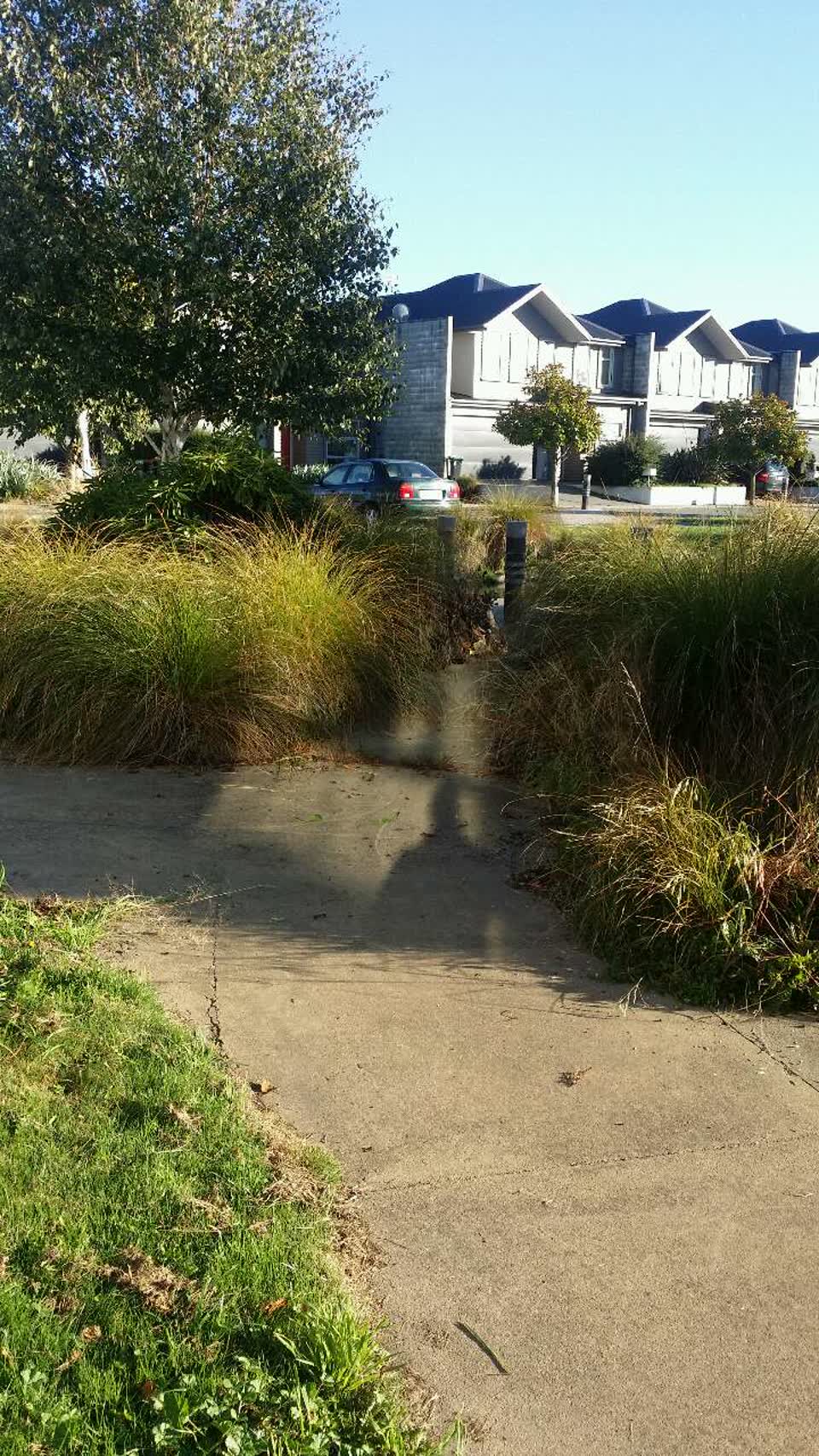 The photograph attached to this parks report