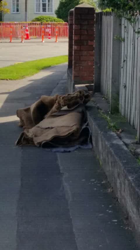 Rubbish/Recycling, a report photo