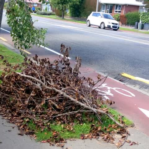Roading/Streets, a report photo