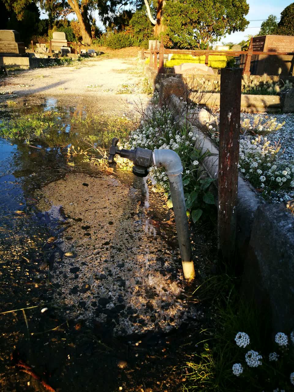 The photograph attached to this water supply report