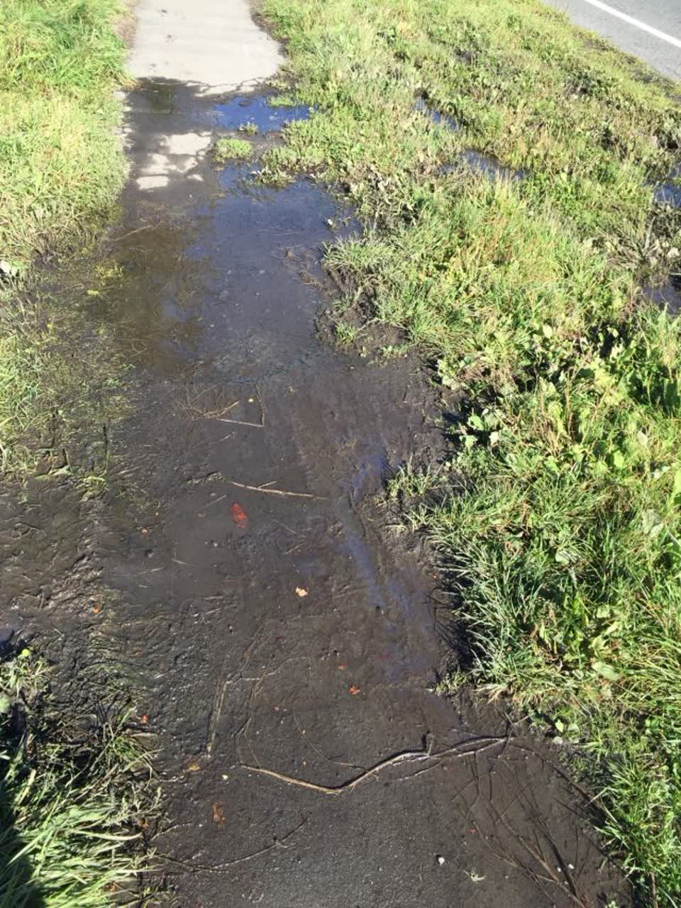 The photograph attached to this water supply report