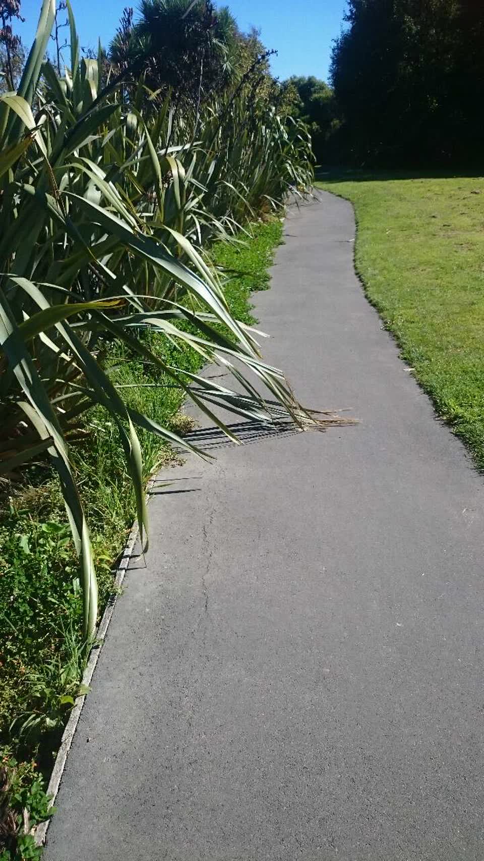 The photograph attached to this parks report