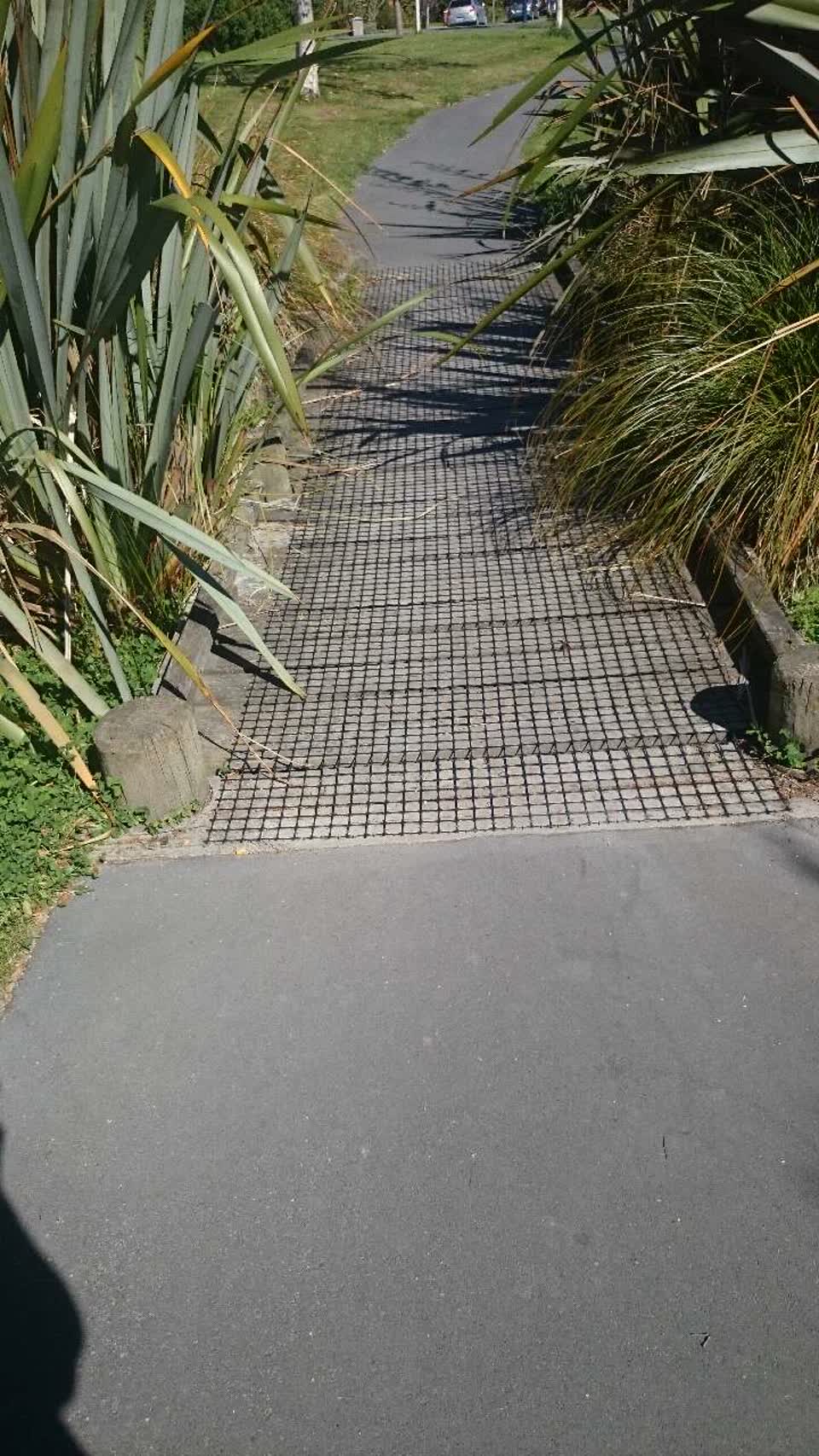 The photograph attached to this parks report
