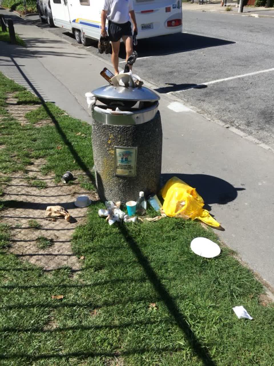 The photograph attached to this rubbish/recycling report