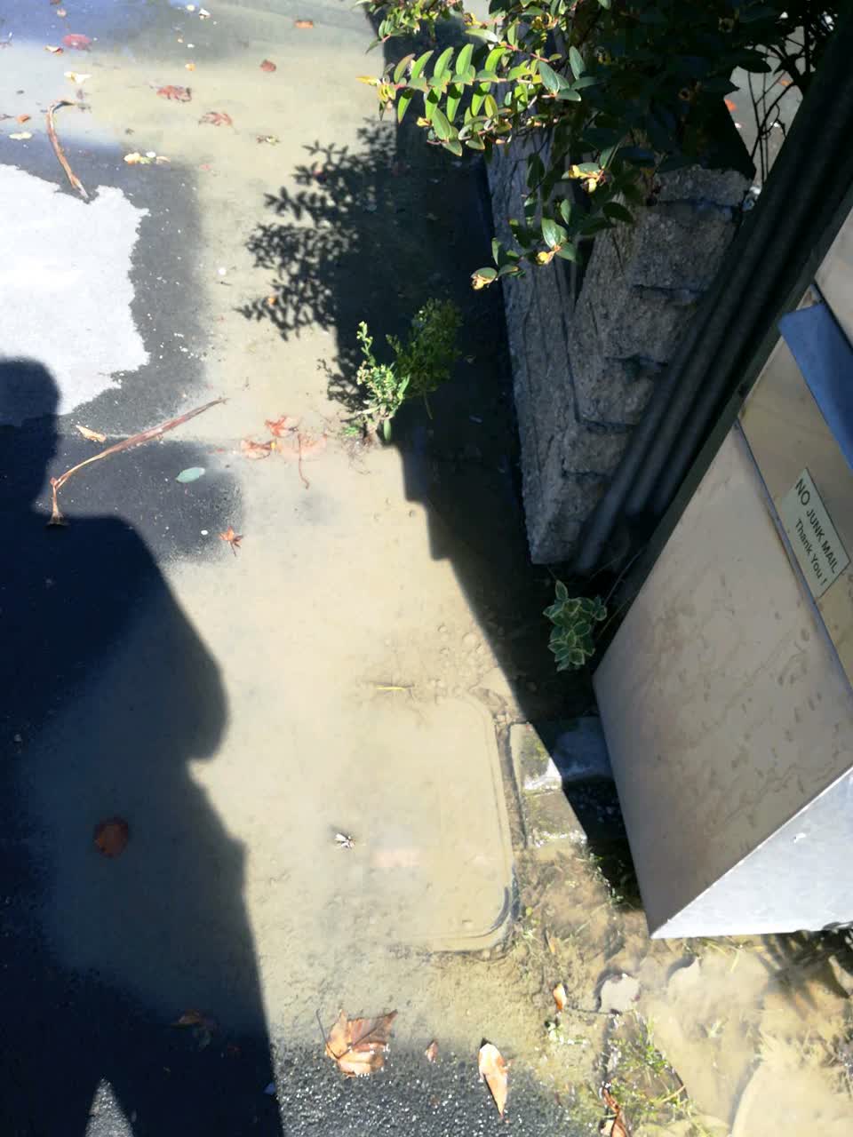 The photograph attached to this water supply report