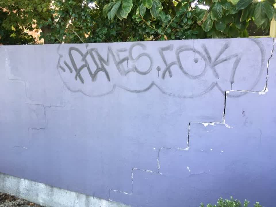The photograph attached to this graffiti report