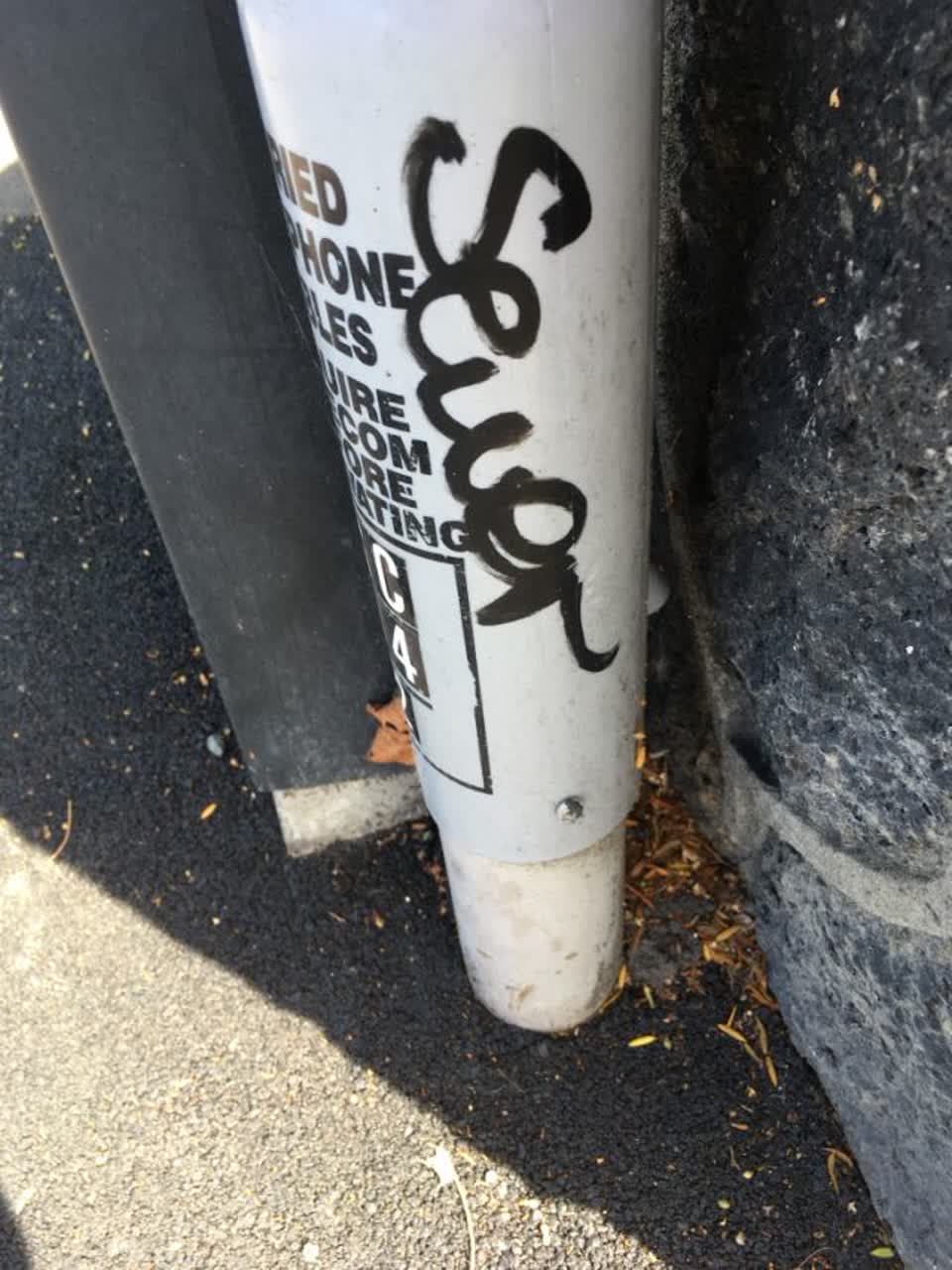 The photograph attached to this graffiti report