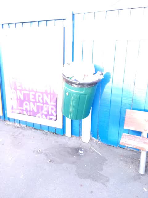 Rubbish/Recycling, a report photo