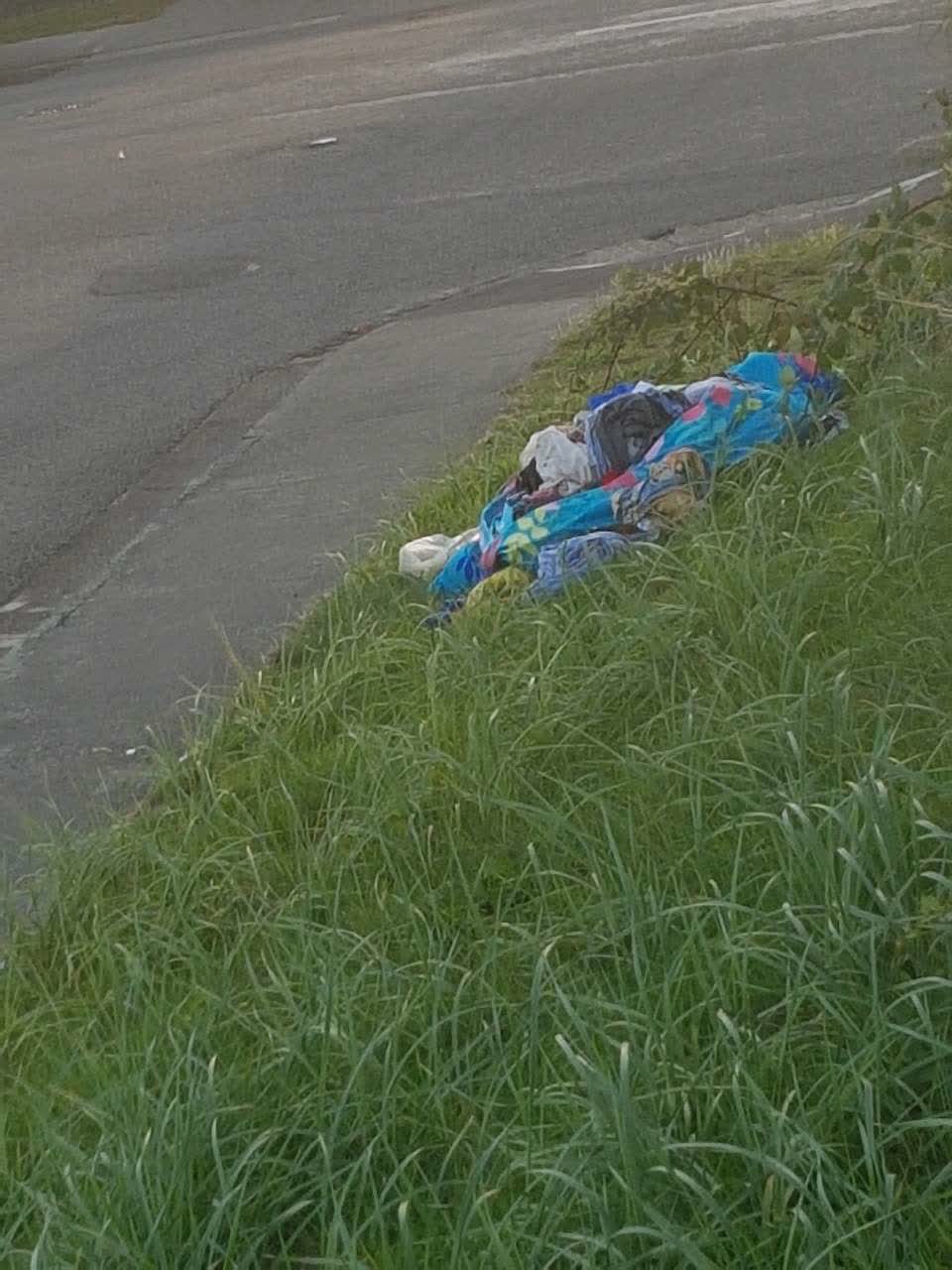 The photograph attached to this rubbish/recycling report