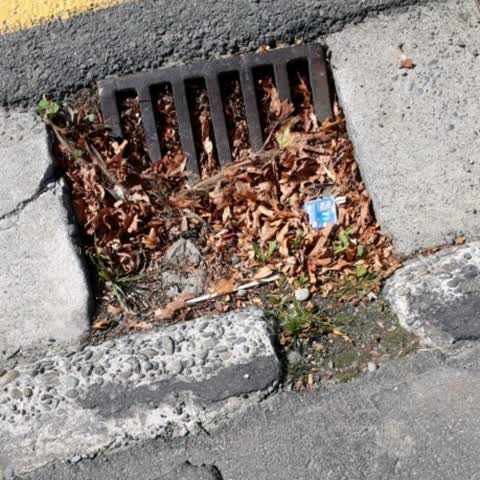 Wastewater/Stormwater, a report photo