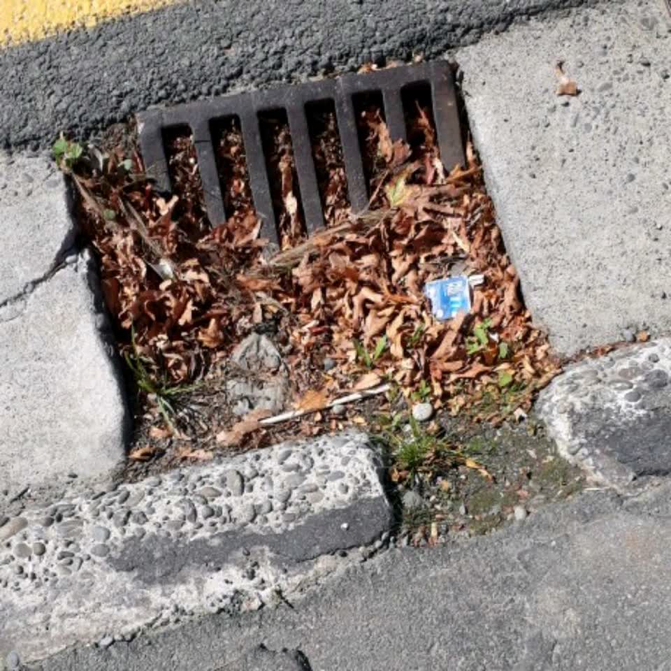 The photograph attached to this wastewater/stormwater report